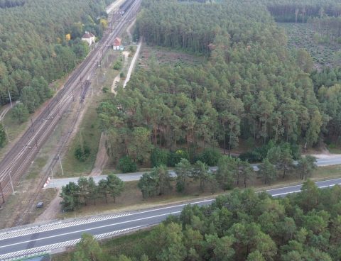 Decyzja o likwidacji spółki została podjęta pochopnie