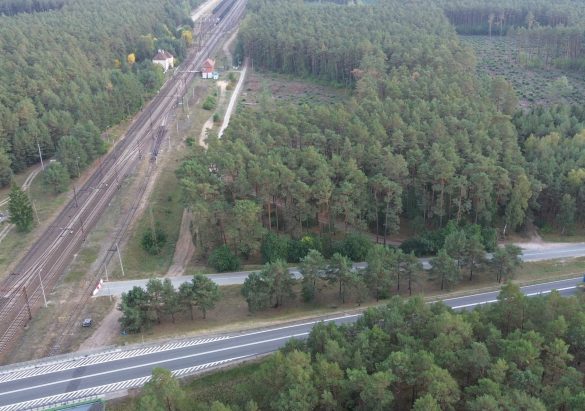 Decyzja o likwidacji spółki została podjęta pochopnie