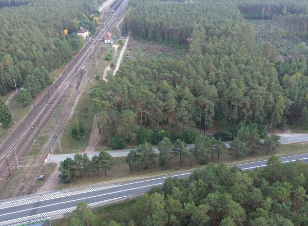 Decyzja o likwidacji spółki została podjęta pochopnie