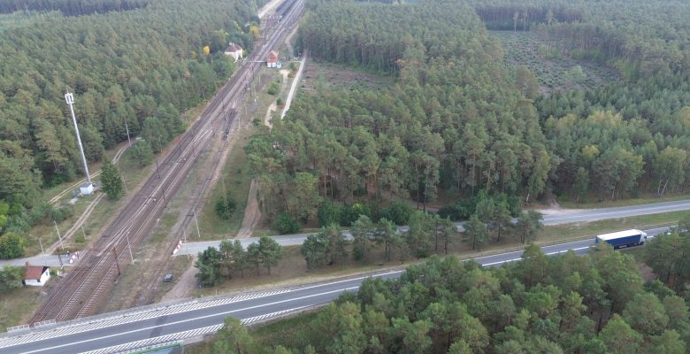 Decyzja o likwidacji spółki została podjęta pochopnie